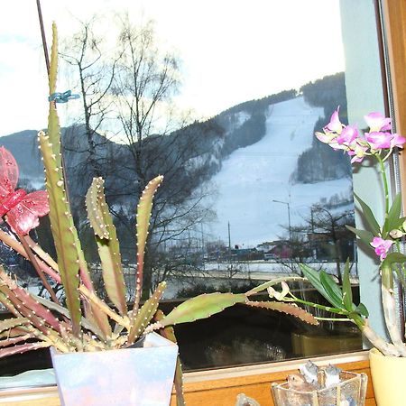 Appartement-Reiteralm シュラートミンク エクステリア 写真