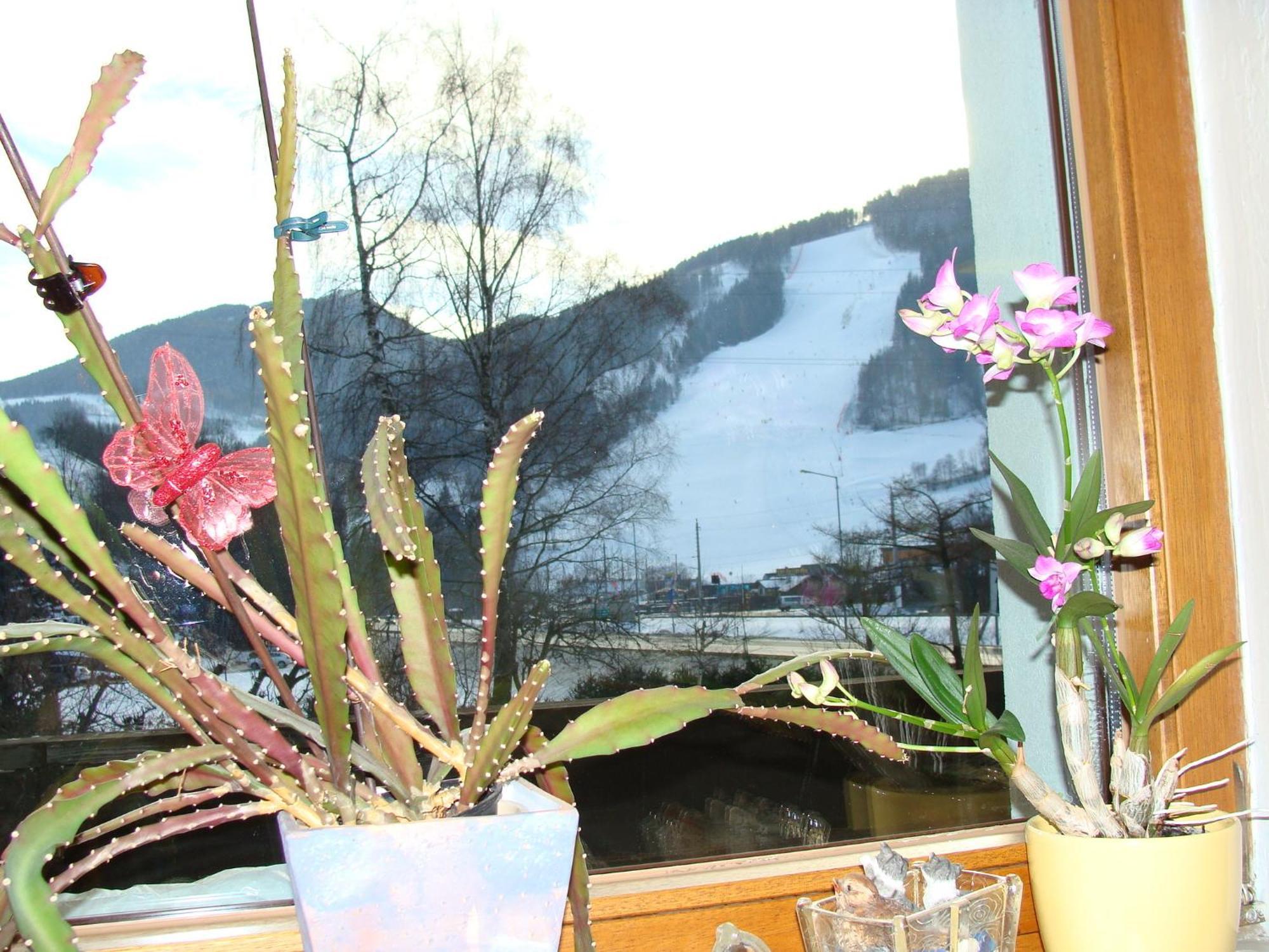 Appartement-Reiteralm シュラートミンク エクステリア 写真