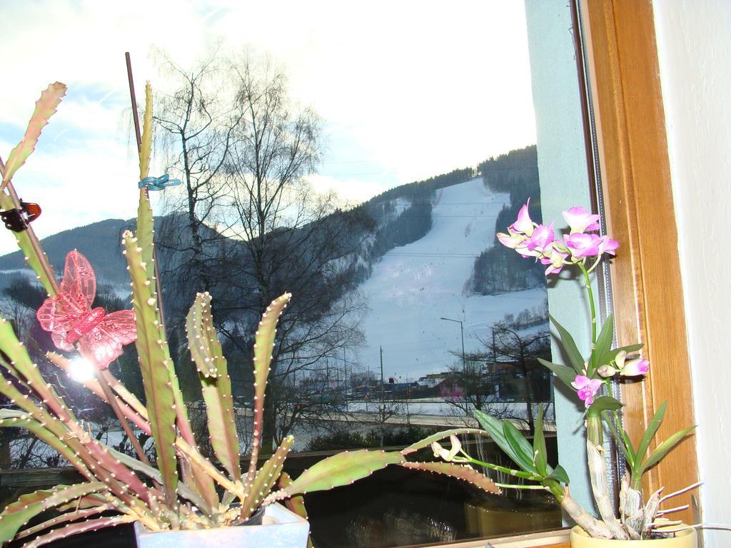Appartement-Reiteralm シュラートミンク エクステリア 写真